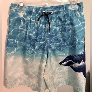 Boy’s swim trunks